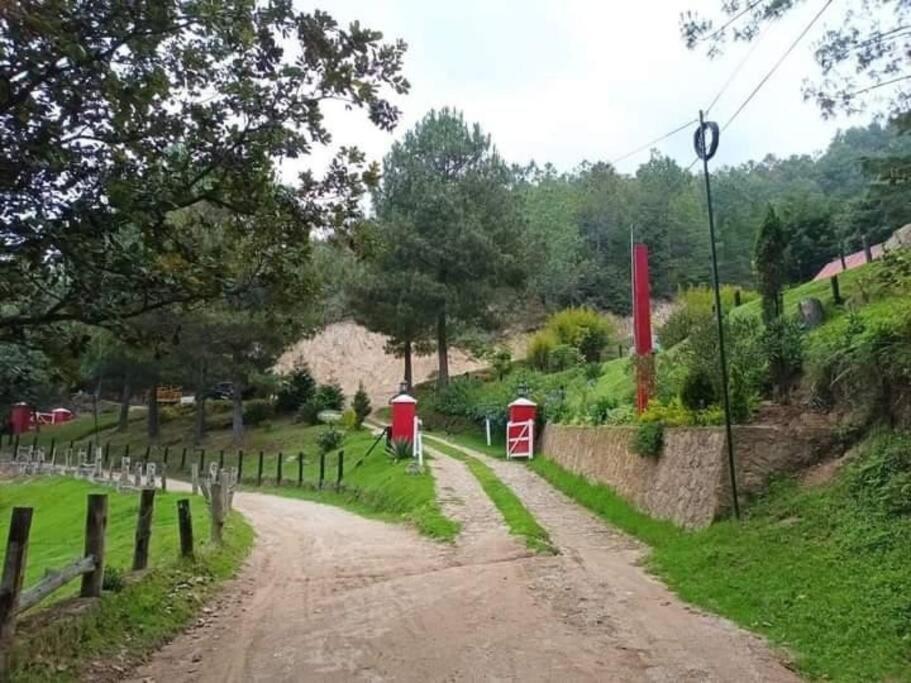 Finca Chuchiya Cabanas Tecpan Tecpán Guatemala エクステリア 写真