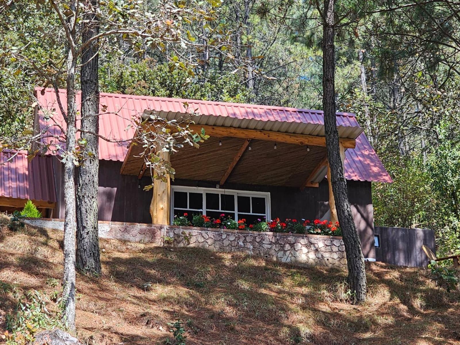 Finca Chuchiya Cabanas Tecpan Tecpán Guatemala エクステリア 写真